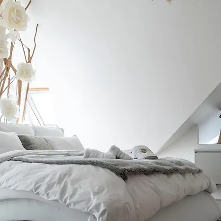 Hotel-Spa Feerie D'Alsace Hotell 4*