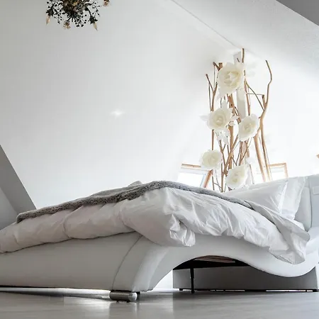 Hotel-Spa Feerie D'Alsace Hotell