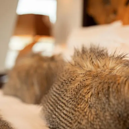 Hotel-Spa Feerie D'Alsace Hotell 4*