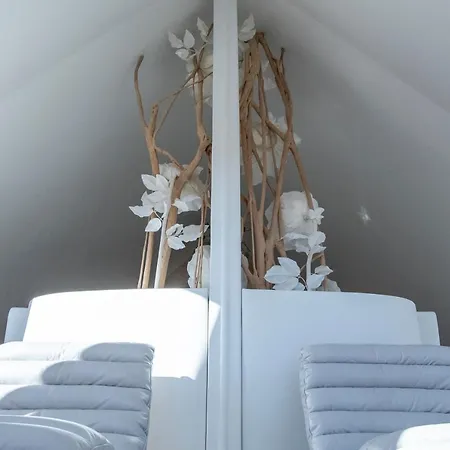 Hotel-Spa Feerie D'Alsace 4*