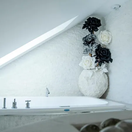 Hotell Hotel-Spa Feerie D'Alsace 4*